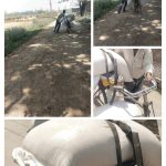 प्रहरीको उपस्थितिमा तस्करी