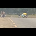 सर्वसाधारणको लागि नियम, तस्करीको छुट